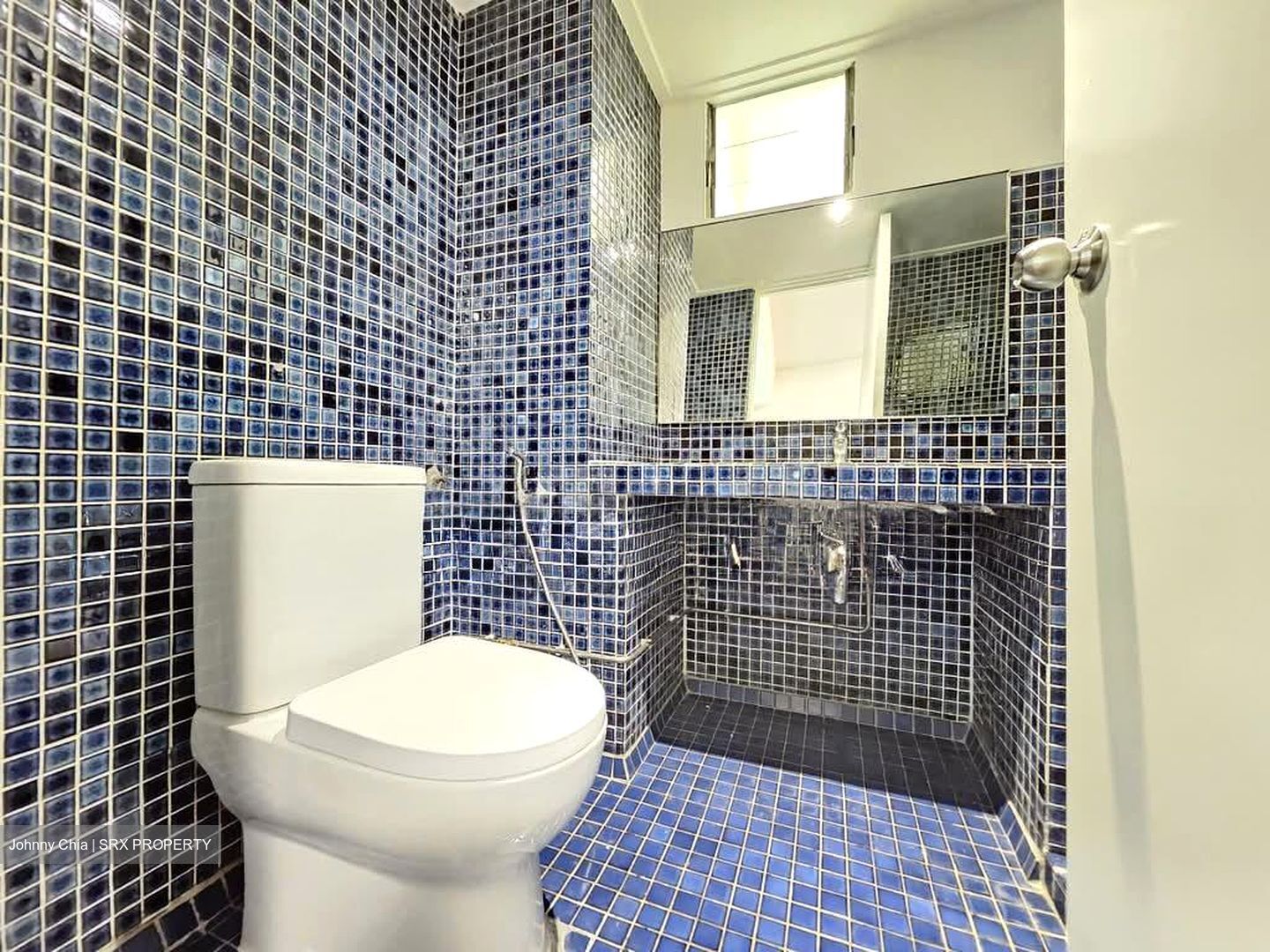 Dunearn Road (D11), Condominium #628475951